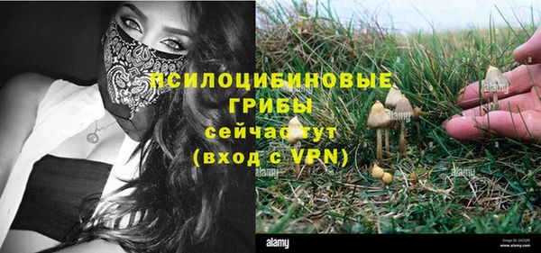 таблы Медвежьегорск