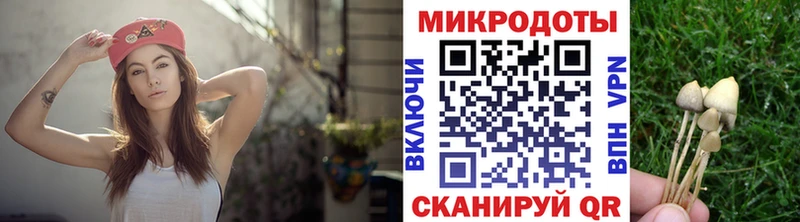 купить наркоту  Мураши  Псилоцибиновые грибы Psilocybe 
