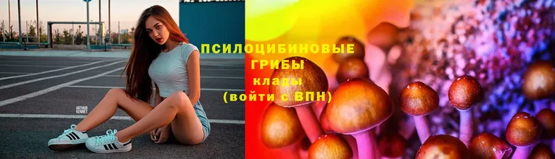 blacksprut вход  Мураши  Галлюциногенные грибы Psilocybe 